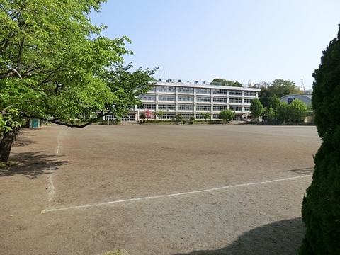 あきる野市立南秋留小学校 950m
