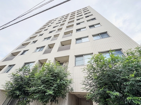 各居室に採光と通風をもたらす窓が外観上で規則正しく美しくレイアウトされています。開口部とタイル壁の比率が計算し尽くされており、外観としての美しさと室内での快適な居住性を両立させた設計です。