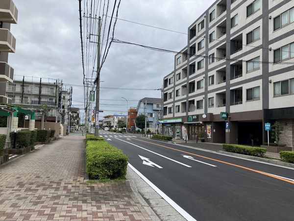 前面道路（南西側）