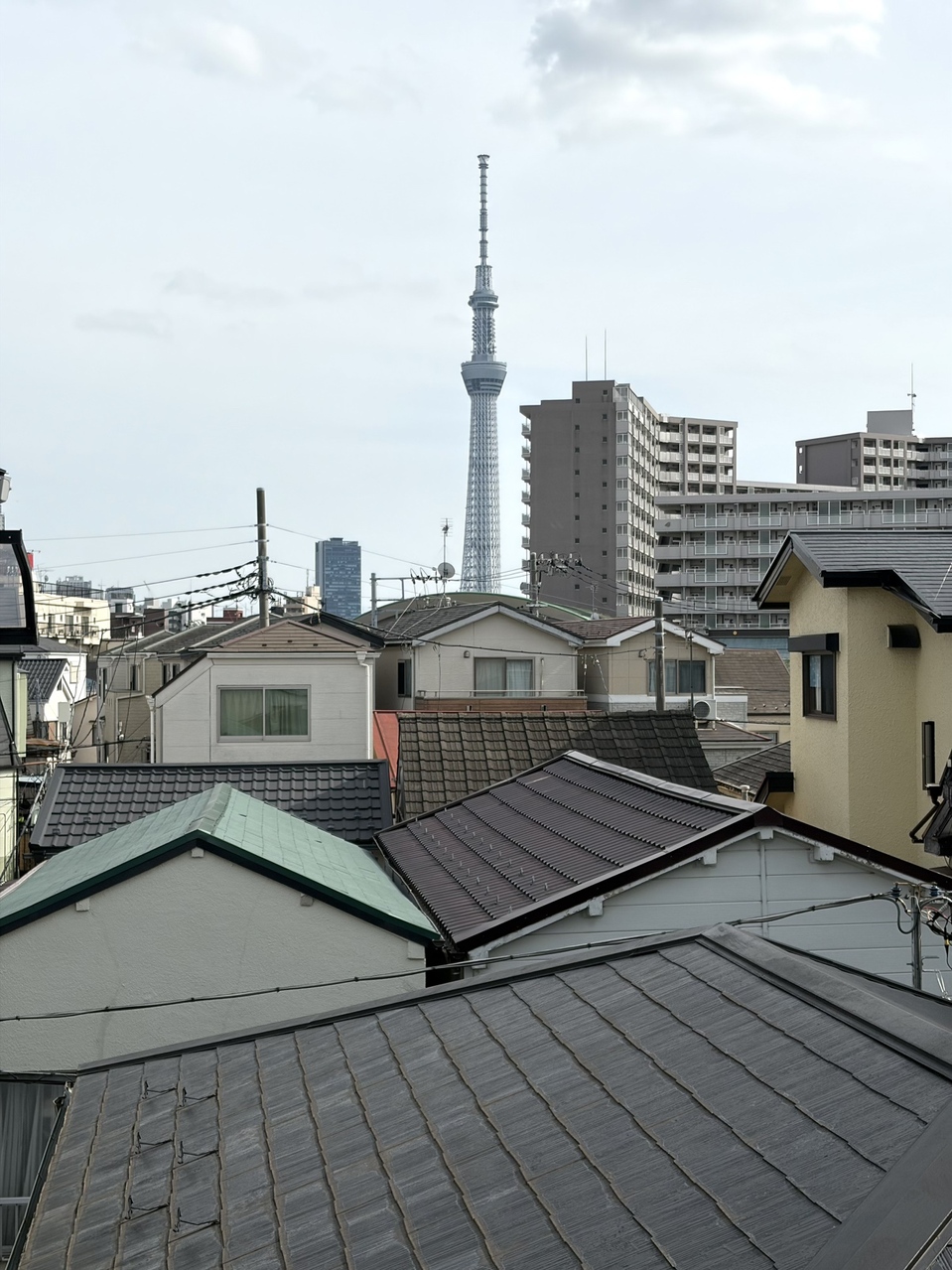 ルーフバルコニーからはスカイツリーを望むことができ、都心ならではの景色を楽しめます。※眺望は将来に渡って保証するものではありません。