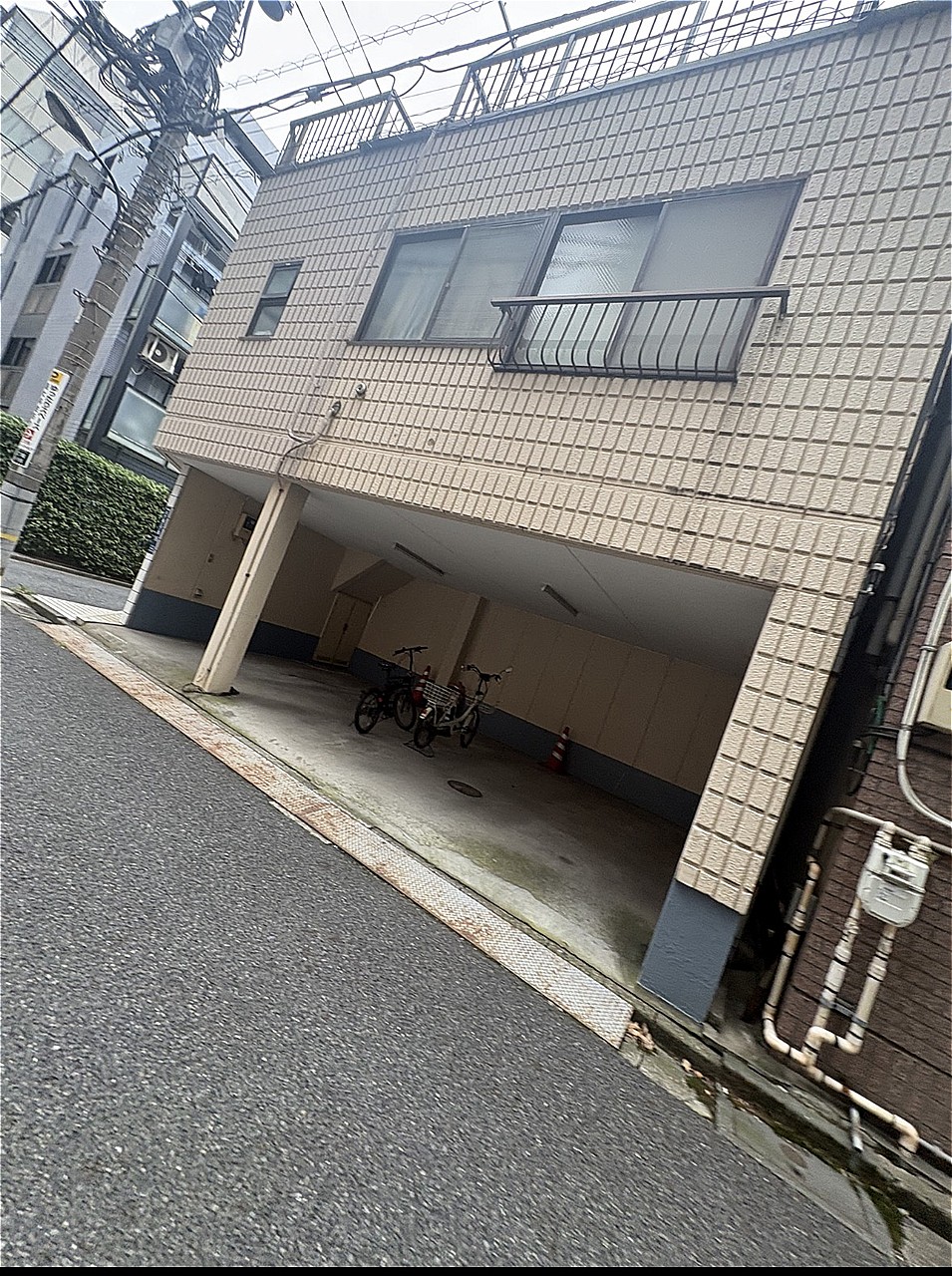 2026年10月撮影