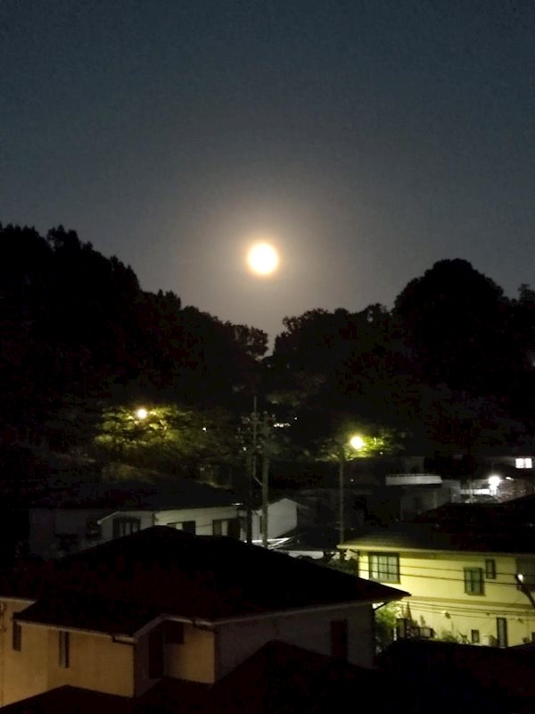 「【現地眺望】 周囲に高い建物がなく、季節ごとの山並みや幻想的な月夜を楽しめる静かな住環境です・・・