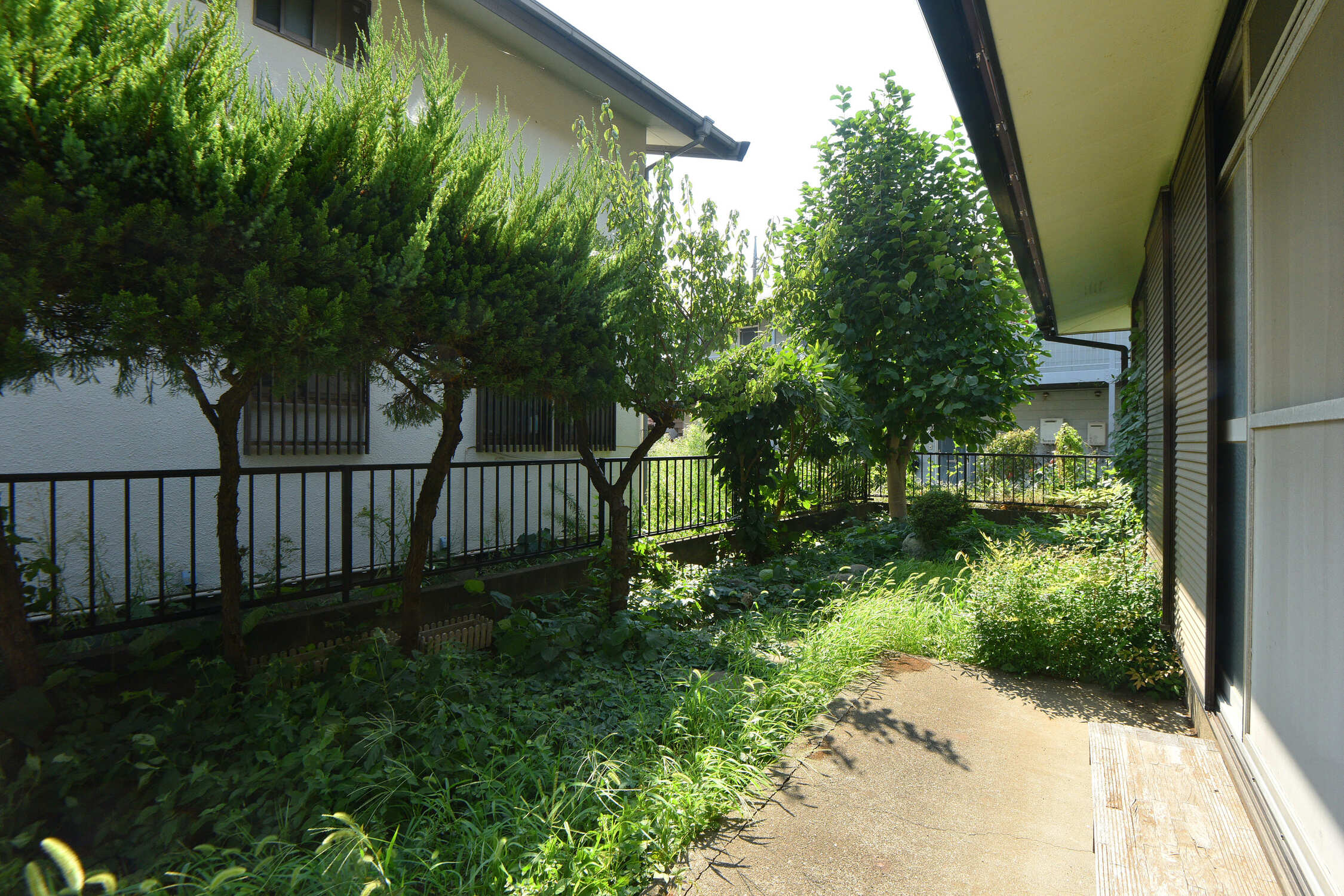 【庭】敷地南西側に設けられており、リビング・1階和室に面しています。ガーデニングをしたり家庭菜園をしたり、様々な楽しみ方ができそうです。