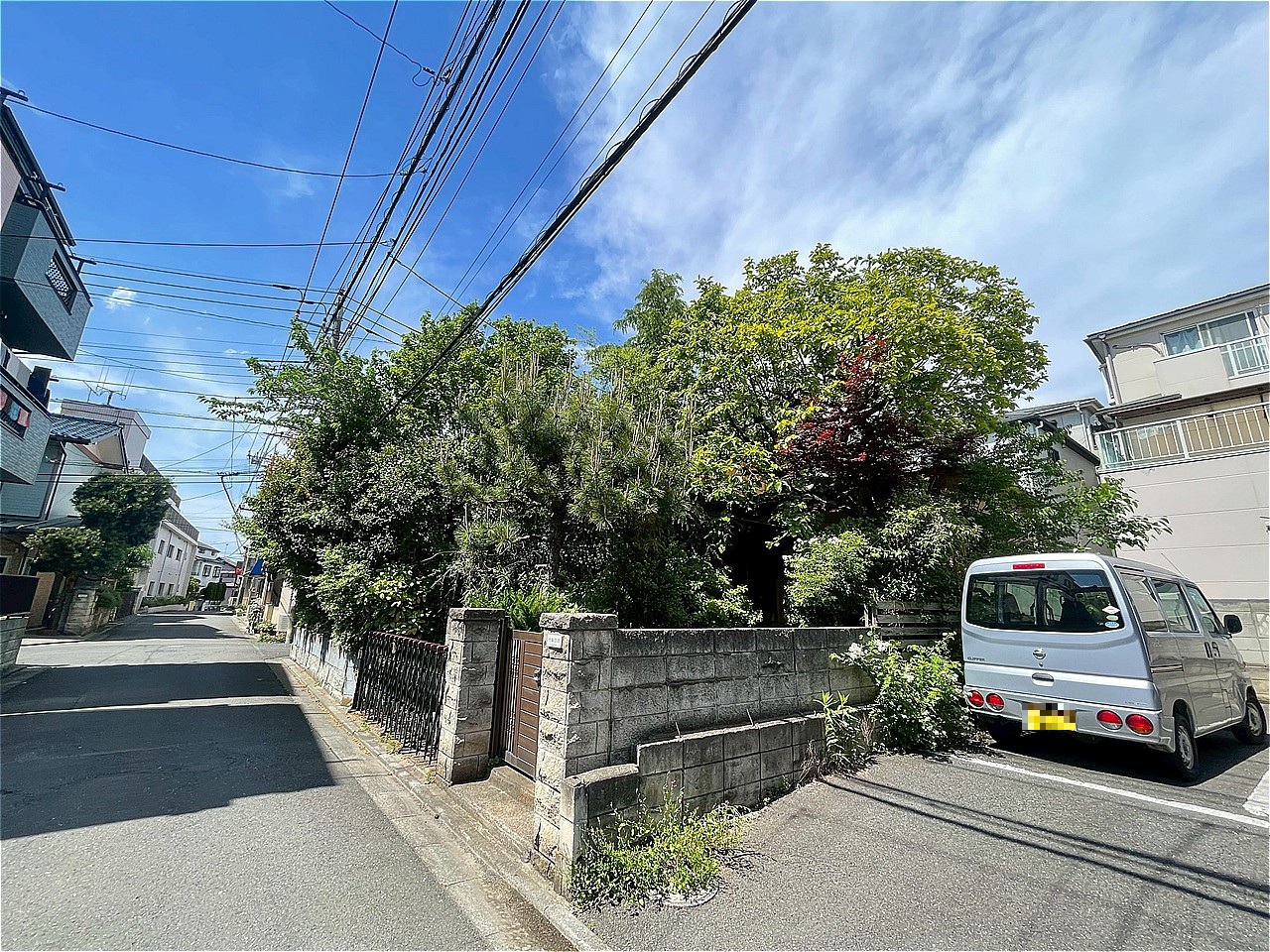 2026年5月撮影