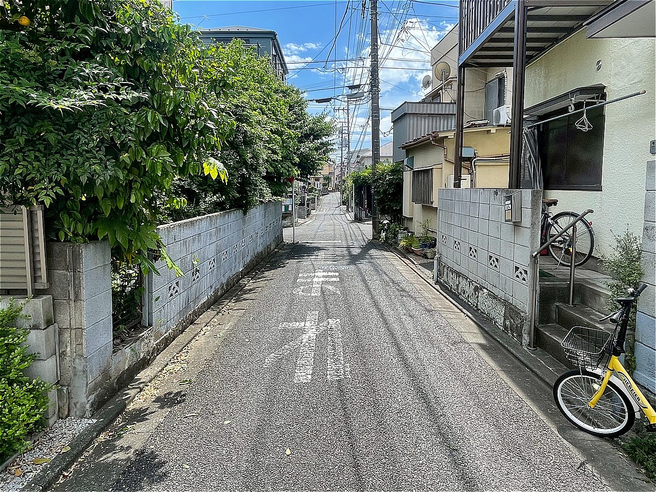 北側道路(2026年5月撮影)