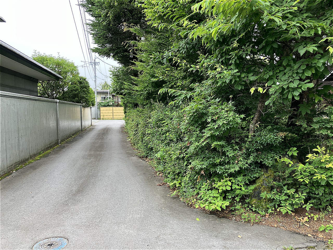 東側隣地通路(2026年8月撮影)