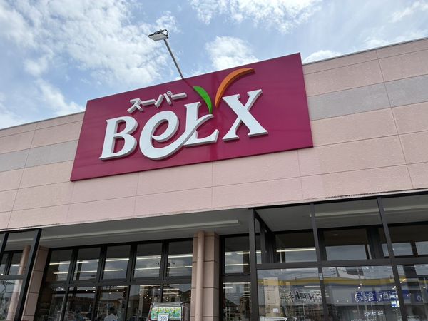 ベルクス柏つくしが丘店 約990m