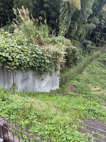 敷地北側・東側擁壁部分