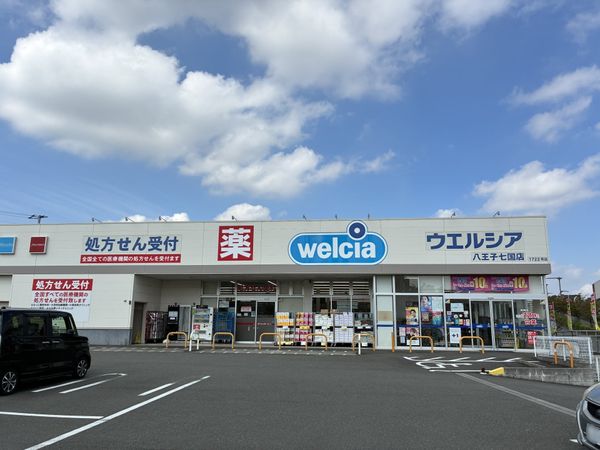 ウエルシア八王子七国店 約300m