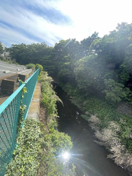 現地(河川部分)