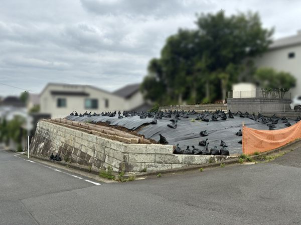 北東側からの現地
