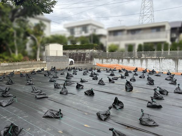 南西側からの現地