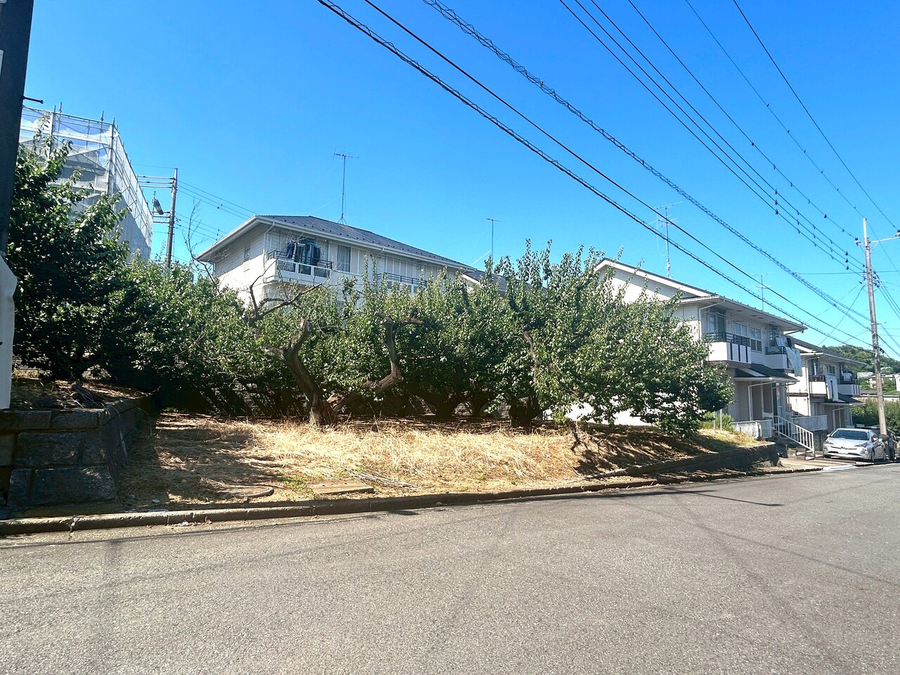 【現地土地写真】土地面積63坪以上の限定1区画。建築条件無しにつき、お好きなハウスメーカー・工務店を選ぶことができます。