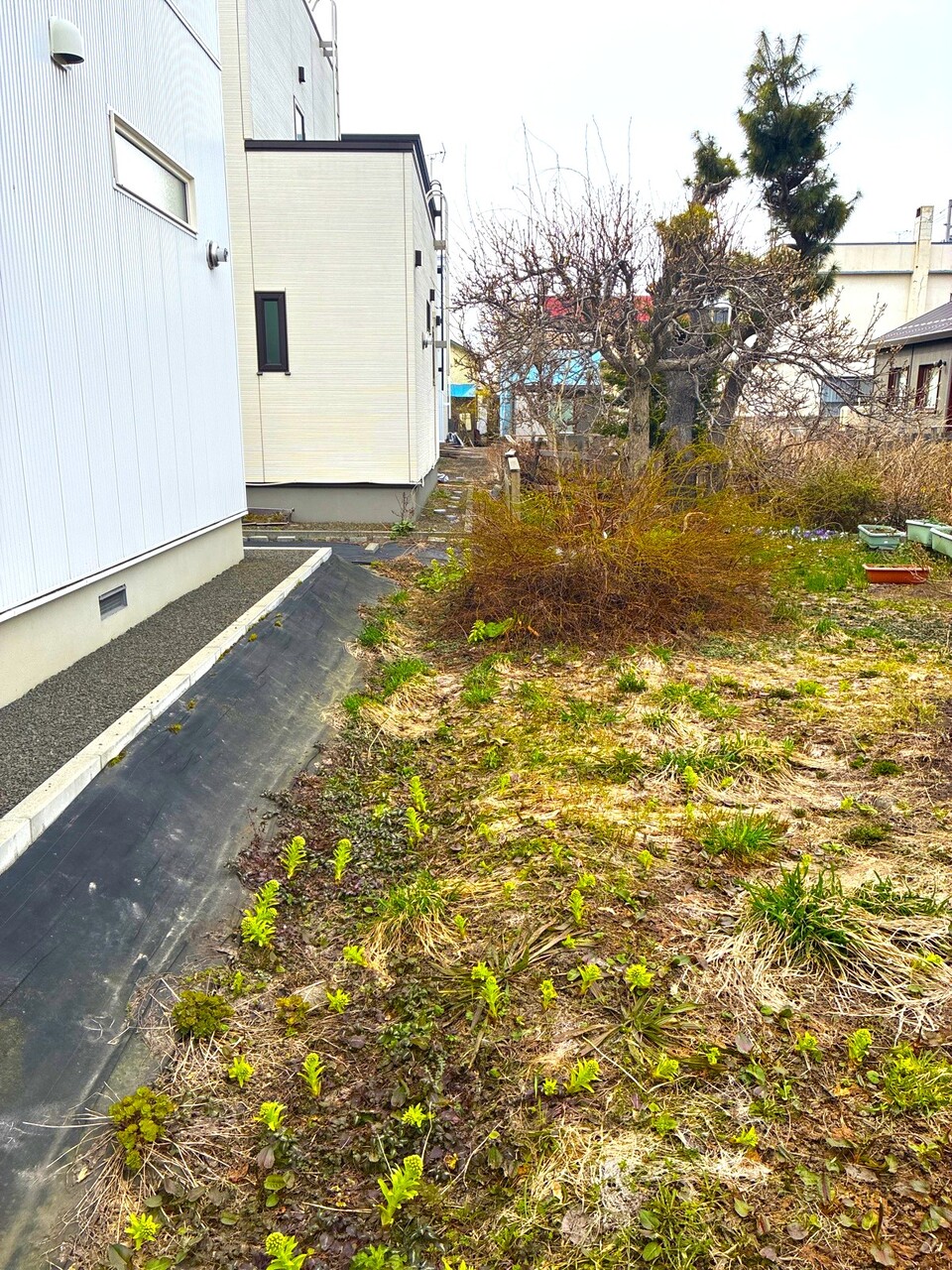 敷地南西側（道路から見て奥側）の境界線