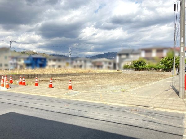 2026年3月27日撮影