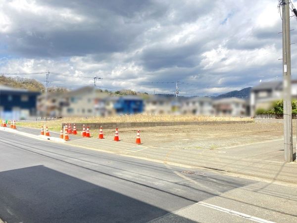 2026年3月27日撮影