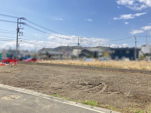 2026年3月27日撮影