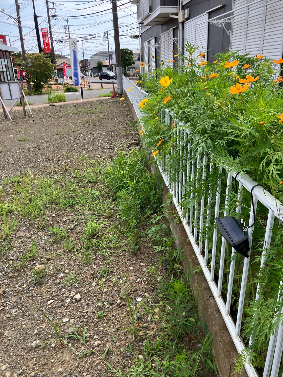 【現地土地写真】隣家に接する北西側にはフェンスが設けられています。ローソンストア100茅ヶ崎円蔵店まで徒歩5分の立地です。