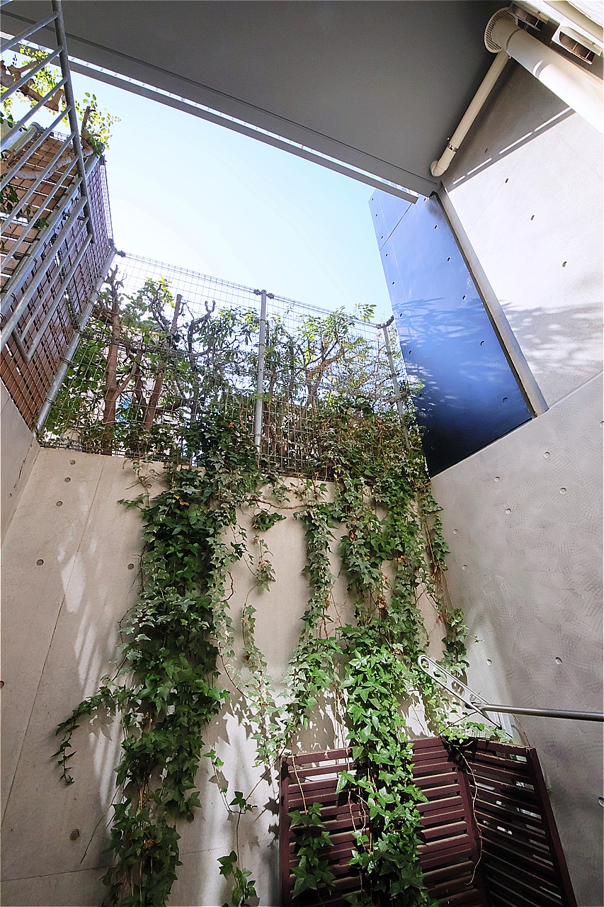 地下階や奥まった場所にも光と風を届け、住まいに開放感を添えてくれます。外の風を感じながらほっと一息つける癒しの空間です。