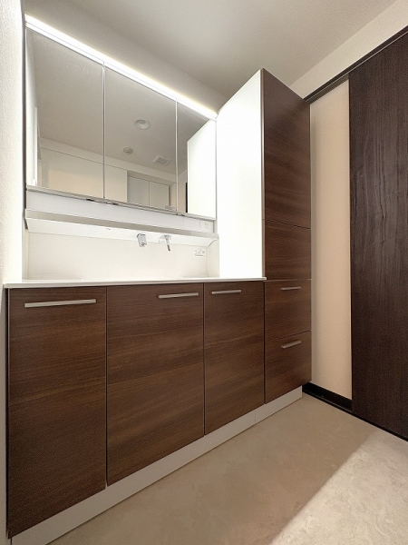 収納が豊富な洗面台