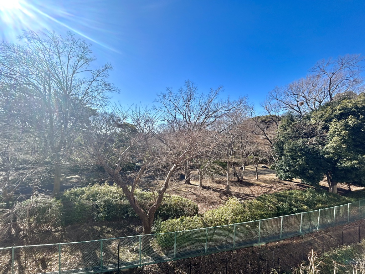 バルコニーから根岸森林公園が見え、四季折々の眺望をお楽しみいただけます。