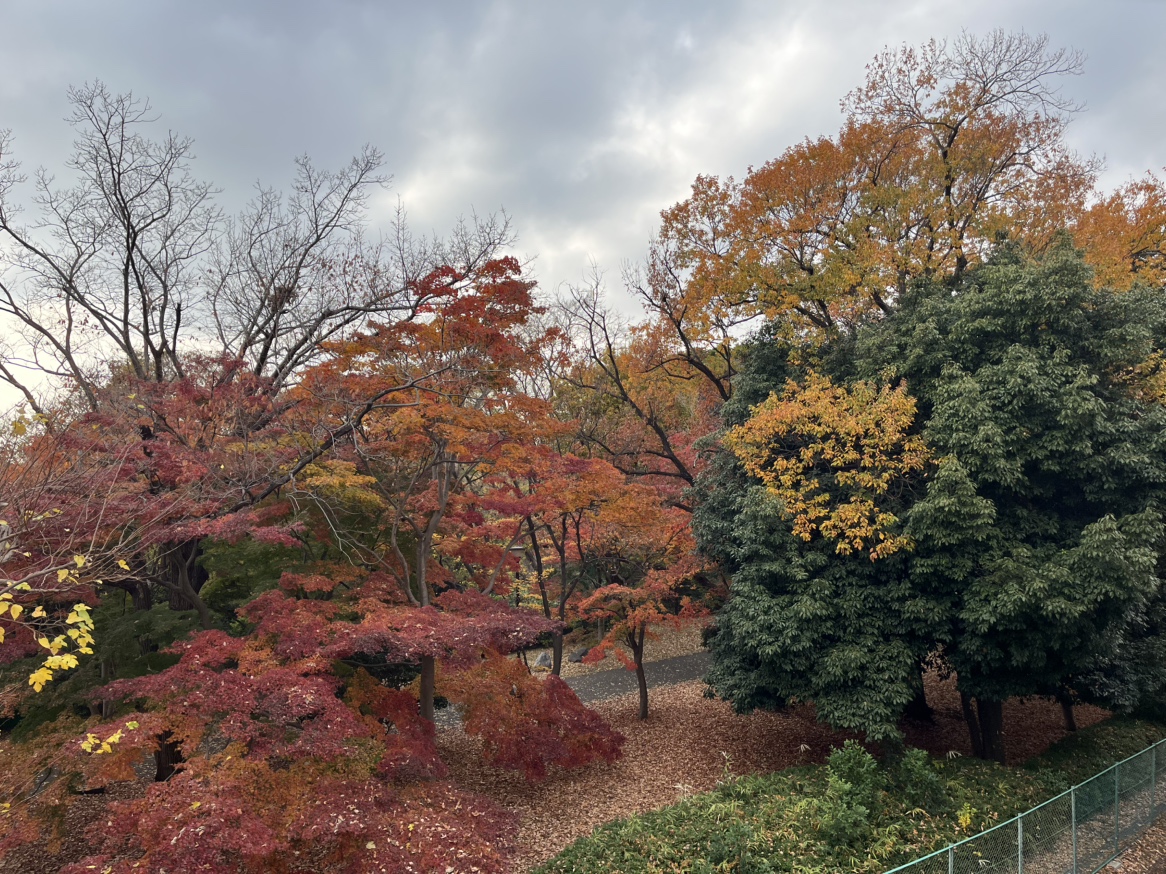 売主様よりご提供写真