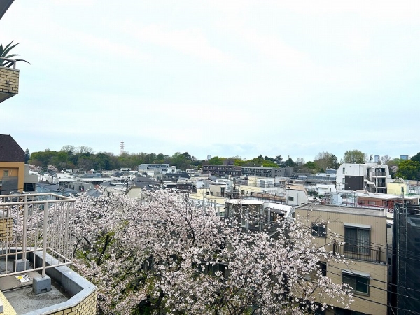 約4.7畳の洋室からはかむろ坂の桜を望むことができます。