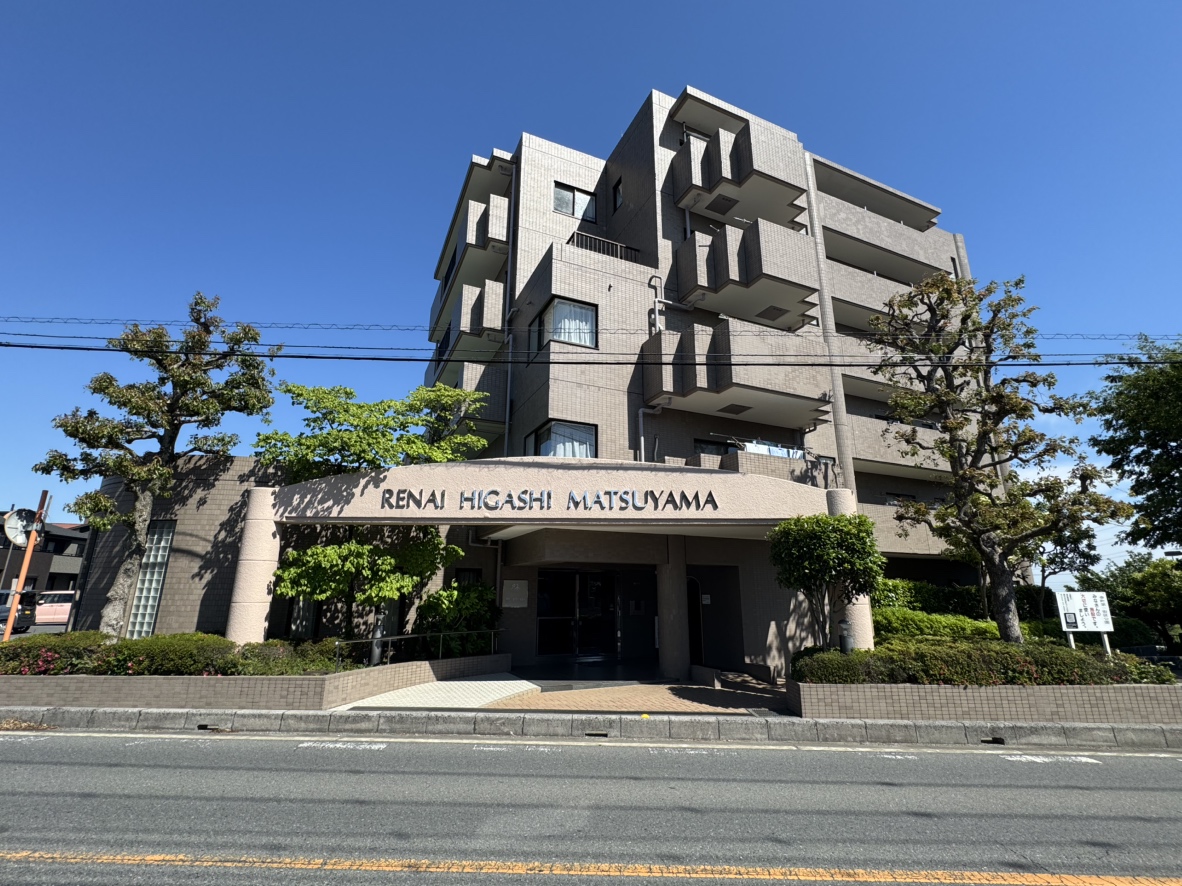 2026年5月撮影