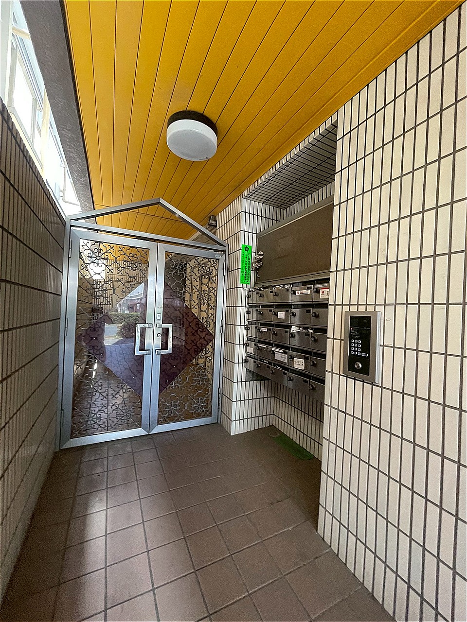 2026年5月撮影
