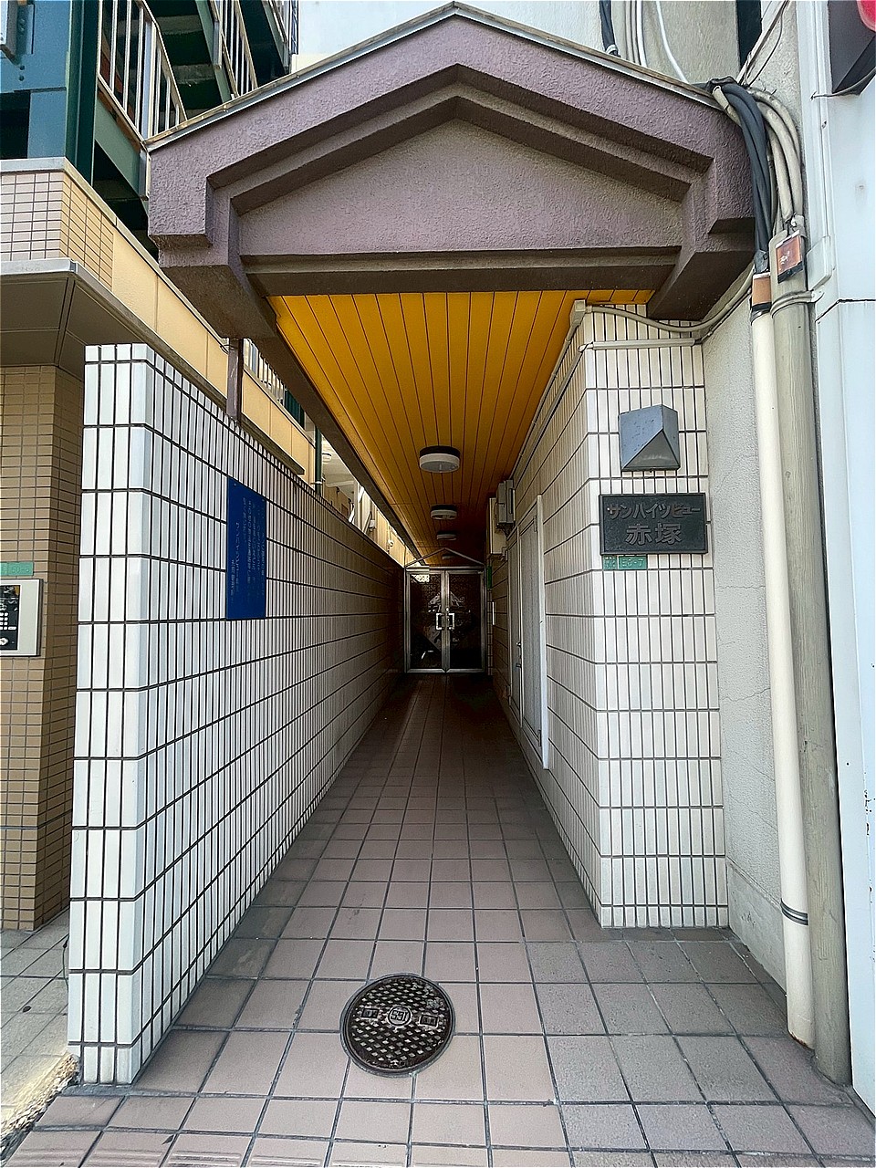 2026年5月撮影