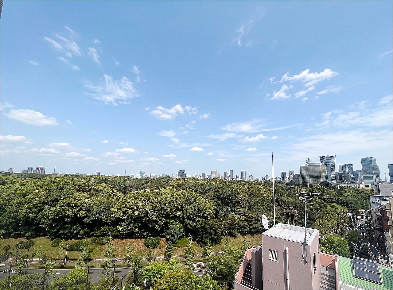 現地の東側には代々木公園があり、四季折々の緑豊かな景色が広がります。都会にいることを忘れ、ゆったりとしたひと時を過ごせそうです。※眺望は将来に渡って保証するものではありません。