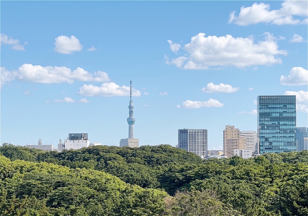 北東方面に東京スカイツリーが見えます。代々木公園の奥に明治神宮もあり、広大な緑の森が広がります。毎日のウォーキングコースにも使えそうです。※眺望は将来に渡って保証するものではありません。