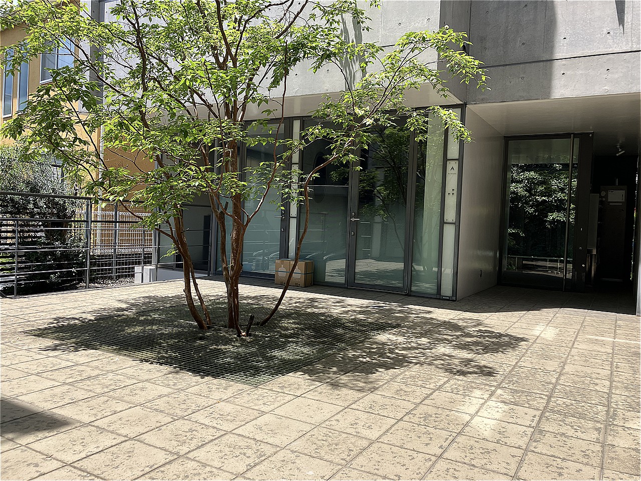 2026年6月撮影