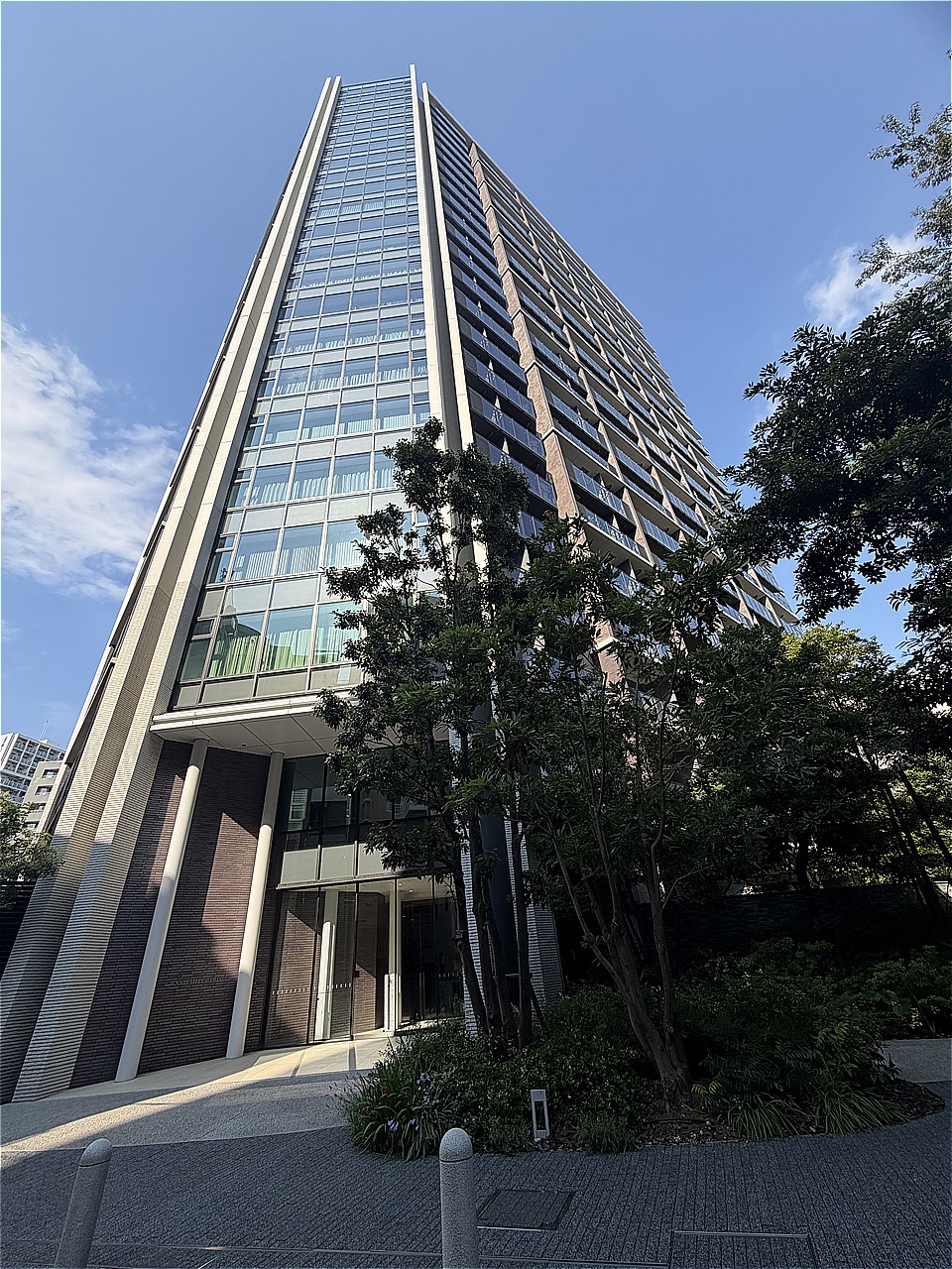 2026年6月撮影