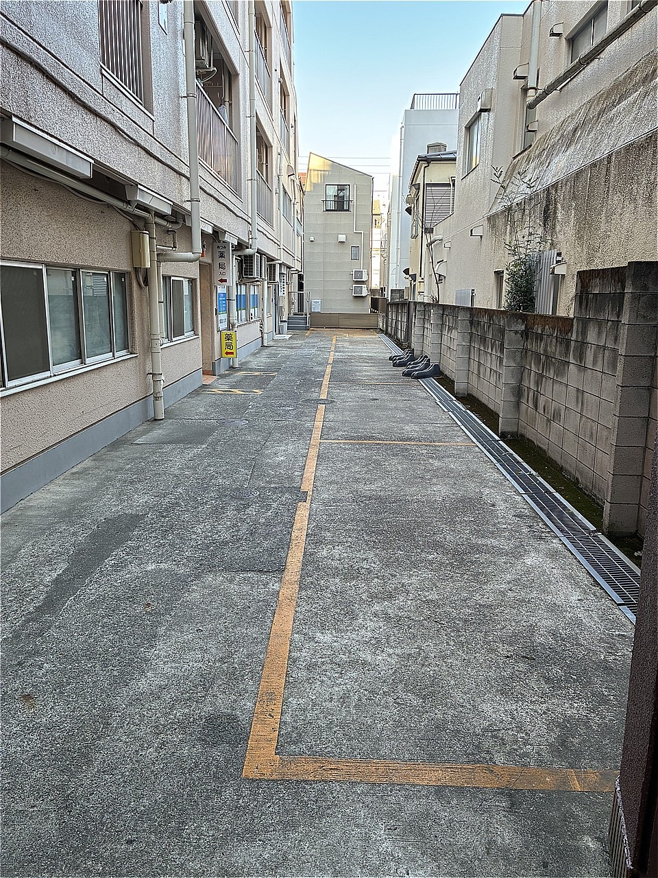 2026年6月撮影