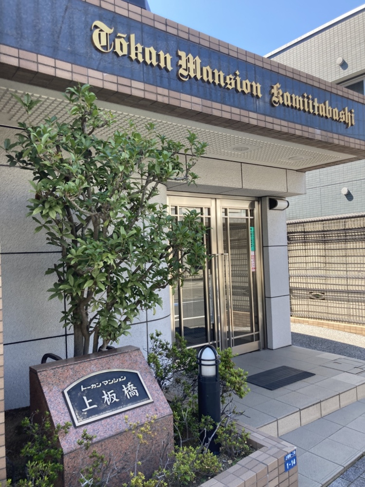 2026年7月撮影