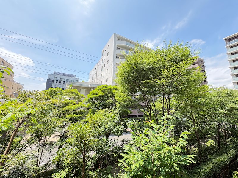 【眺望写真】空と木々を楽しめる開放的な眺め。日々の暮らしの中で自然を感じられる眺望です♪