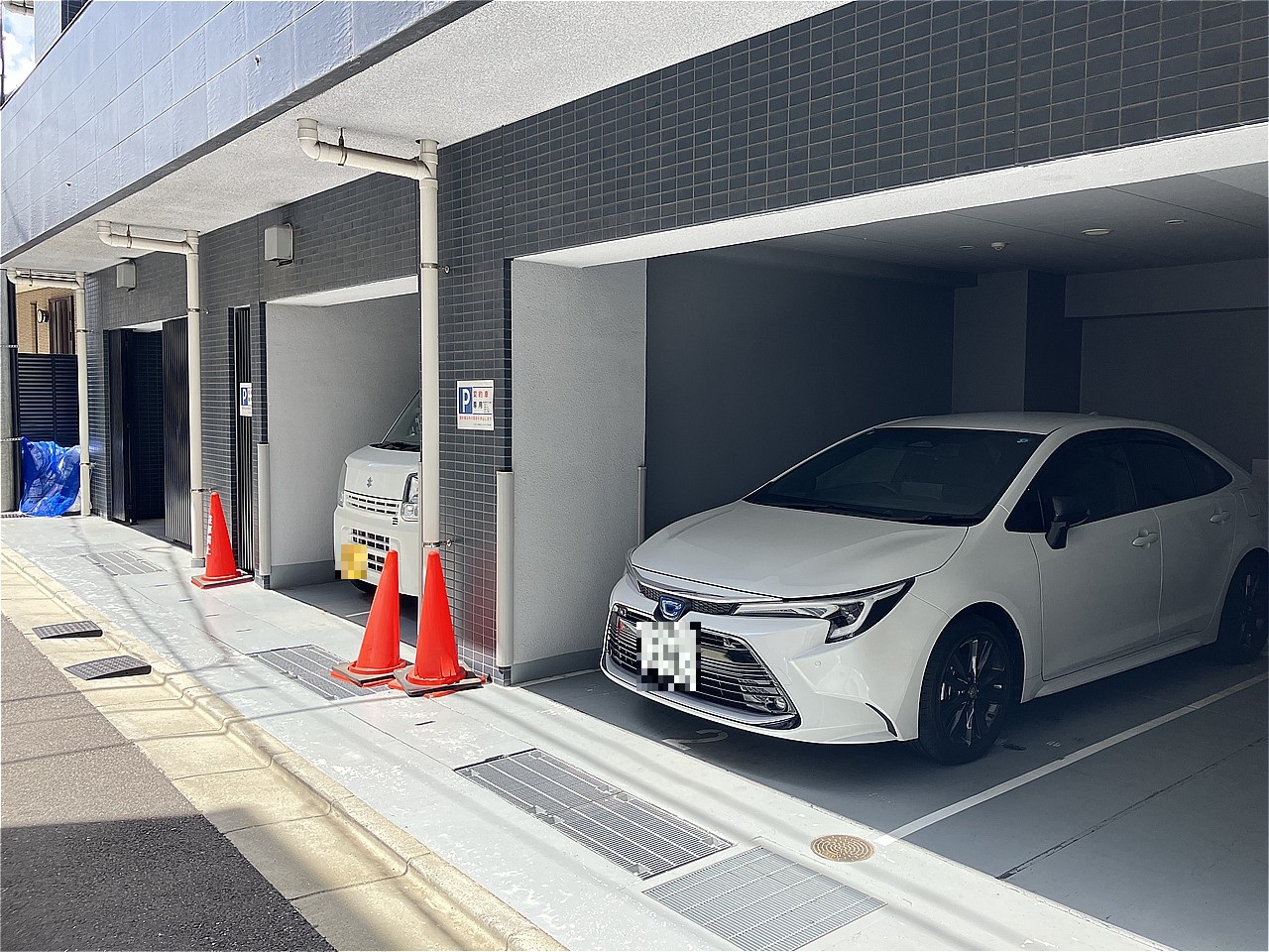 2026年8月撮影