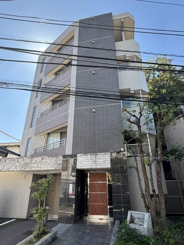 2026年10月撮影
