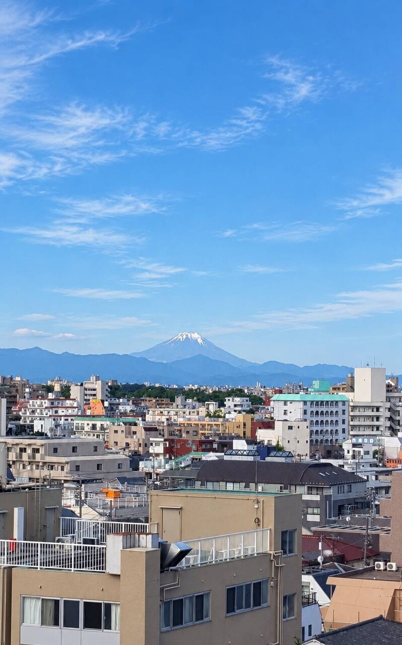 2026年10月撮影