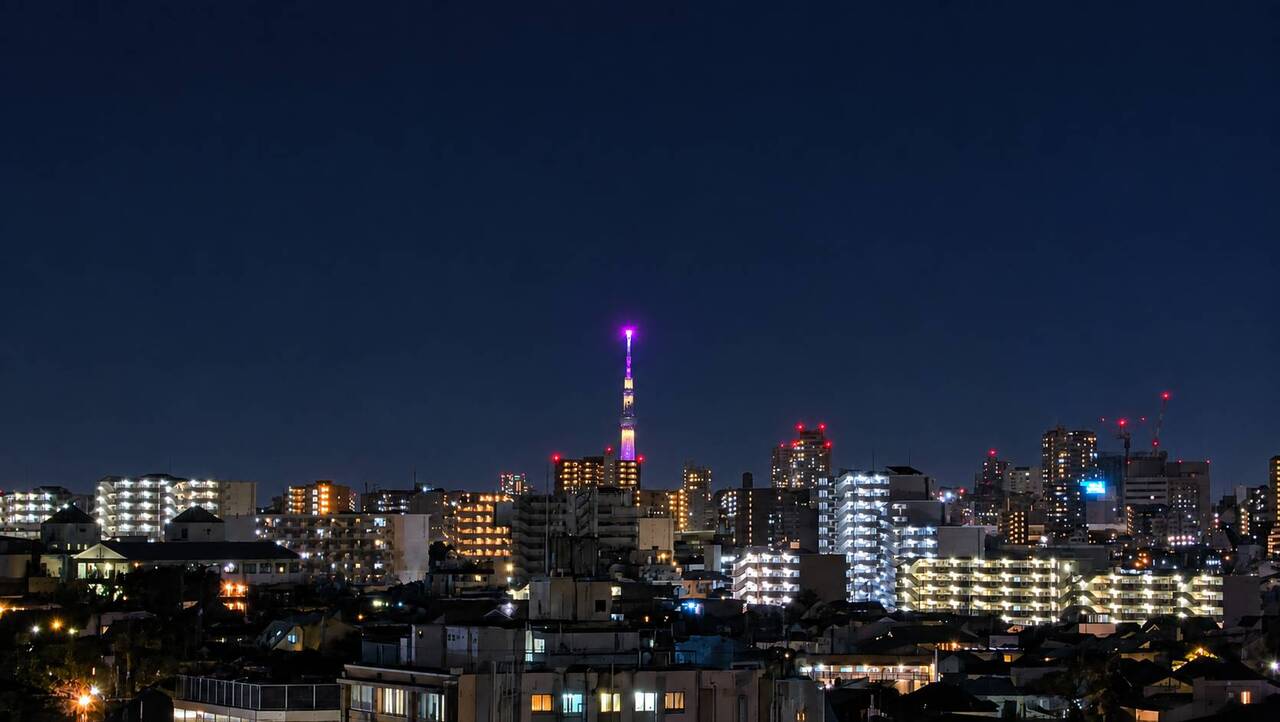 2026年10月撮影