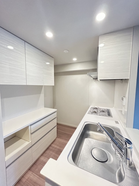 造り付カップボードが付いております