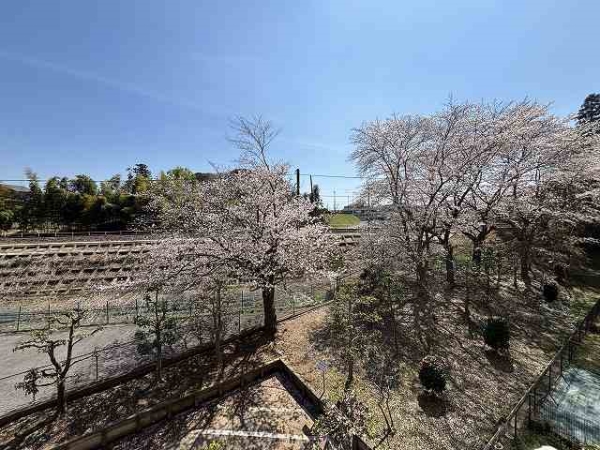 バルコニーからの眺望　前面は棟が無く春には桜も望めます