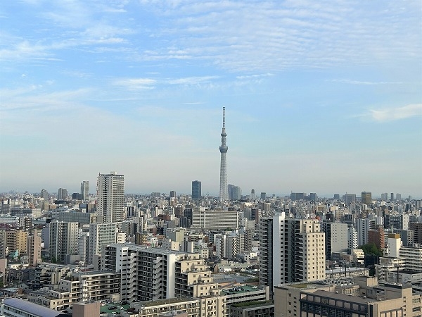 バルコニーからはスカイツリーを望みます(天候による)