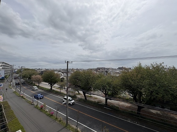 前面の木々が春には桜が咲きます