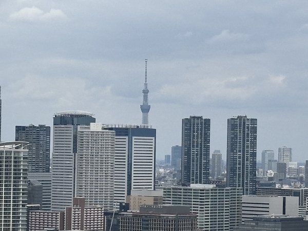 バルコニーからは東京スカイツリーを望めます（天候による）