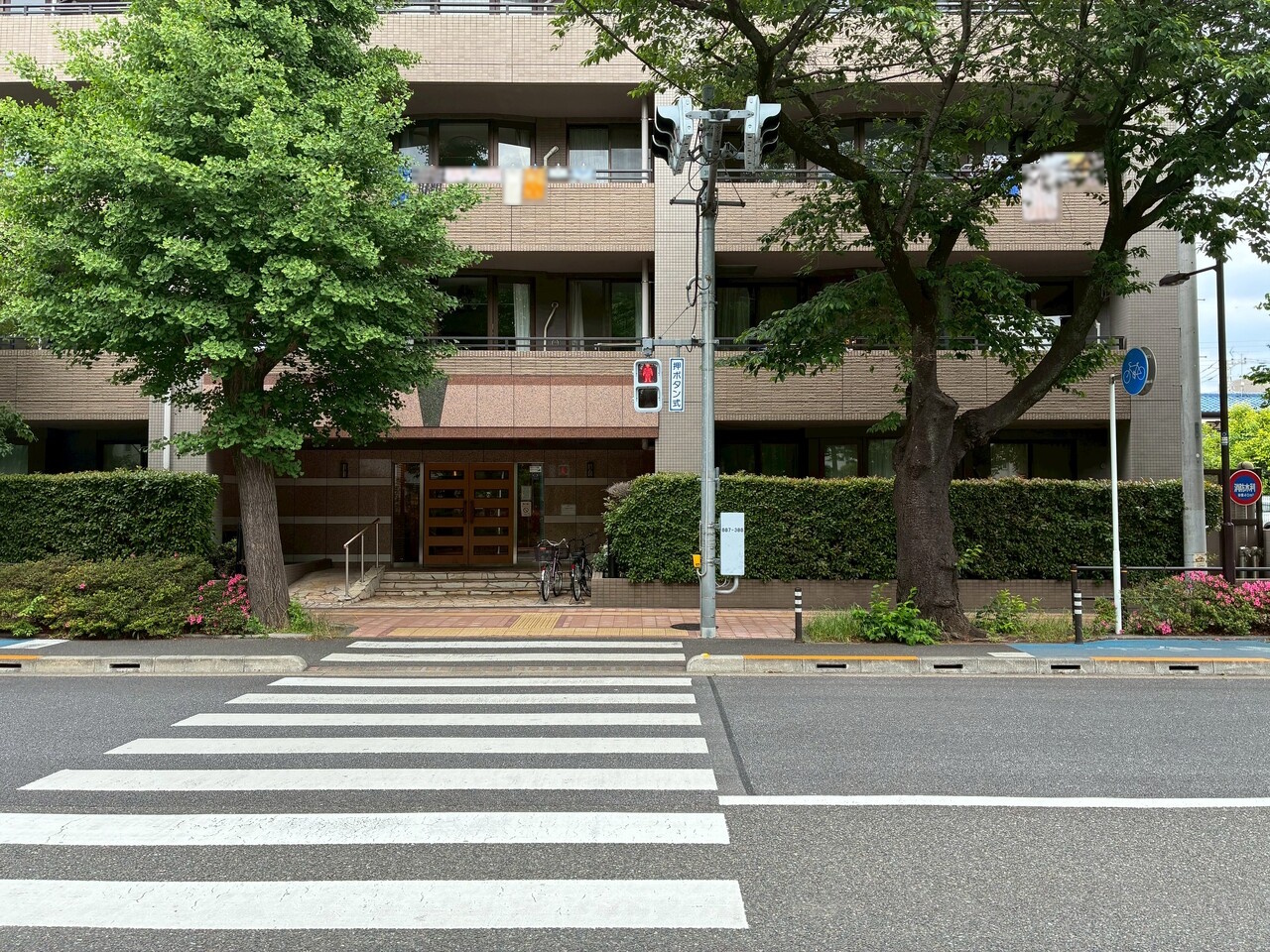 【現地外観写真】周辺は閑静な住宅街で、落ち着いた暮らしが叶います。さくら通り沿いに位置しており、四季の移ろいを身近に感じながら過ごせる環境です。