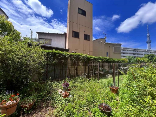 専用庭です