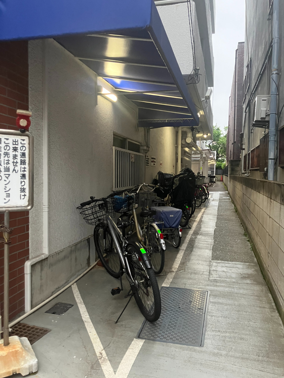 【駐輪場】綺麗に整頓された駐輪場。屋根付きなので、自転車を雨風や直射日光から守ることができます。お出かけや買い物の幅が広がりそうです。