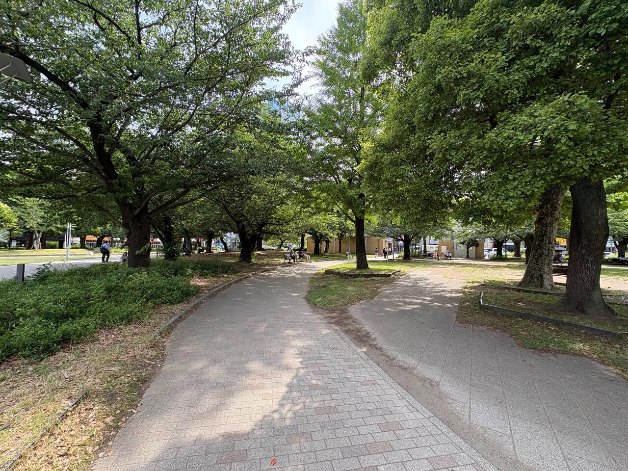 【錦糸公園】徒歩7分。関東大震災の復興事業の一環として開園された、面積約5.6万平米の広さがある公園です。